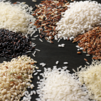 Rice